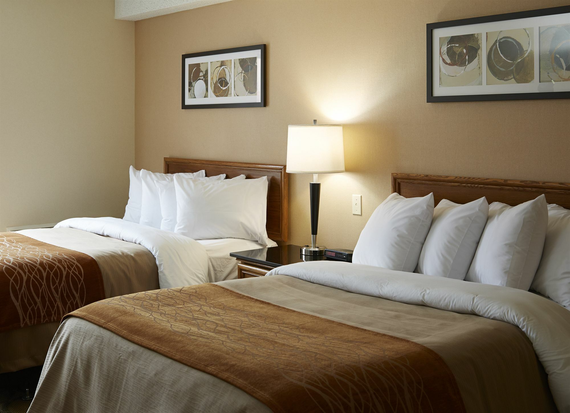 Comfort Inn Hwy 401 Kingston Bagian luar foto
